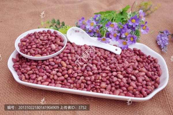 花江豆