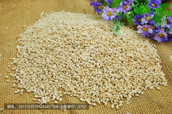 麥仁