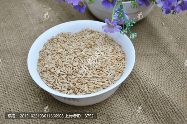 大麥仁