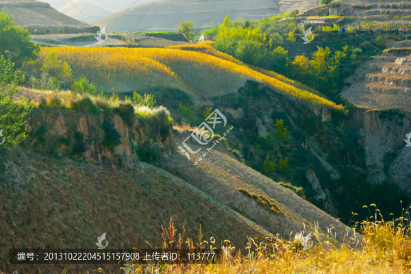 子洲自然風(fēng)光