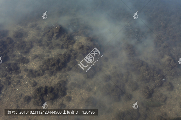 清澈見底的湖水