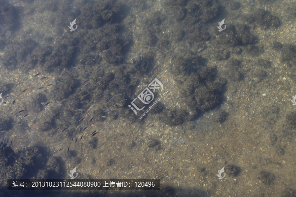 清澈見底的湖水