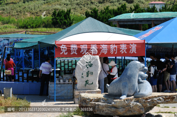 蓬萊長島月亮灣海豹苑