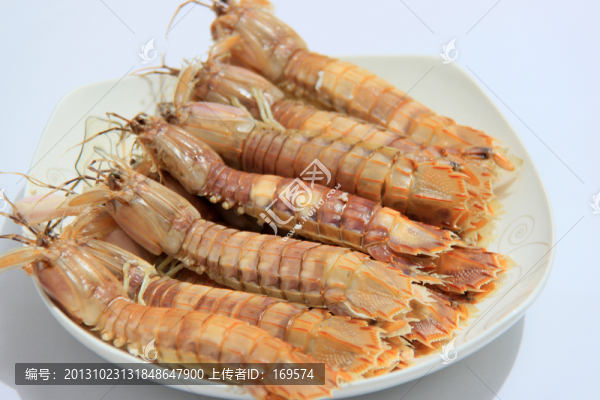蝦虎