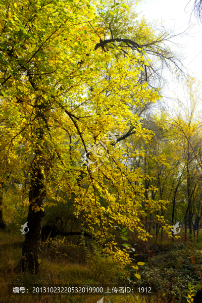 秋色-匯圖網(wǎng) www.fosd68.com 秋色