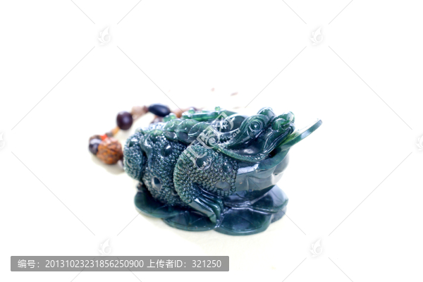泰山玉蟾蜍