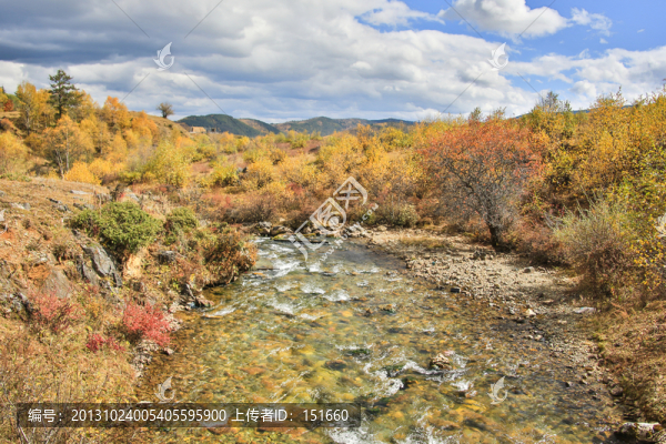 香格里拉森林溪流
