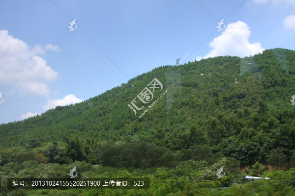 山坡叢林