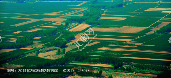 青春田野