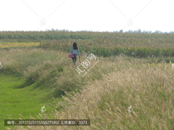 鄉(xiāng)間荒草小路上的長(zhǎng)發(fā)少女