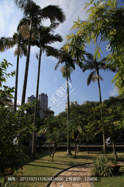 公園小路
