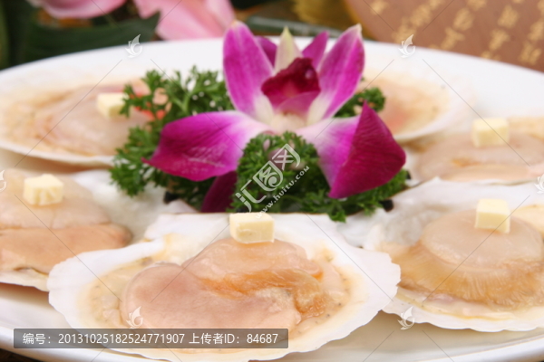 扇貝