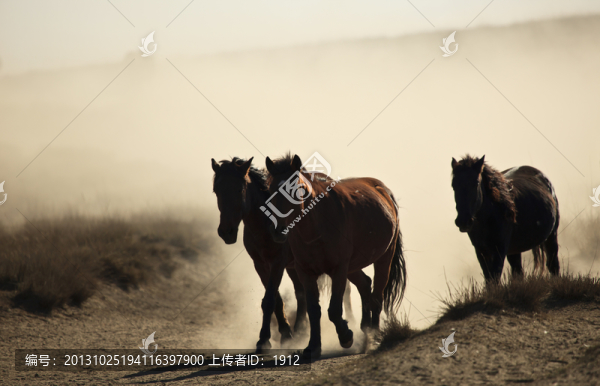 馬