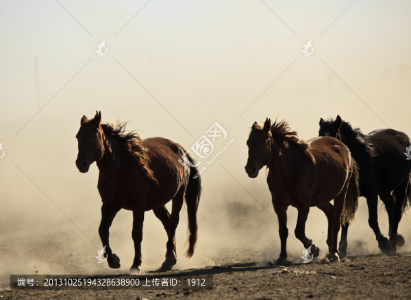 馬