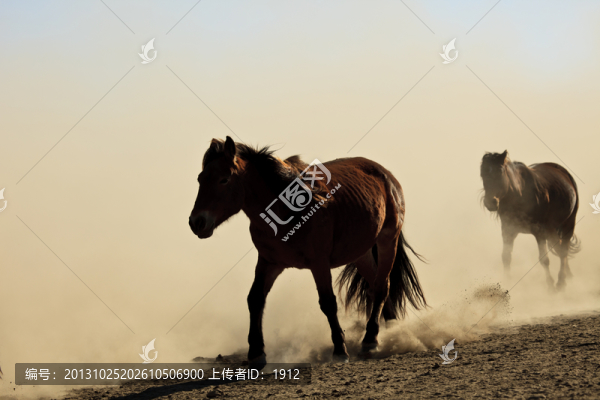 馬