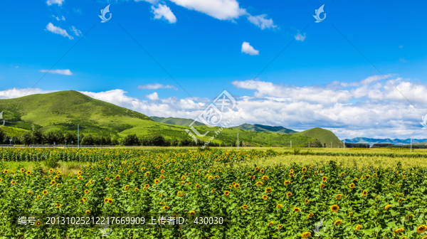 內(nèi)蒙草原
