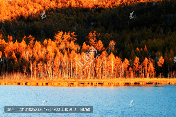達(dá)爾濱湖秋景
