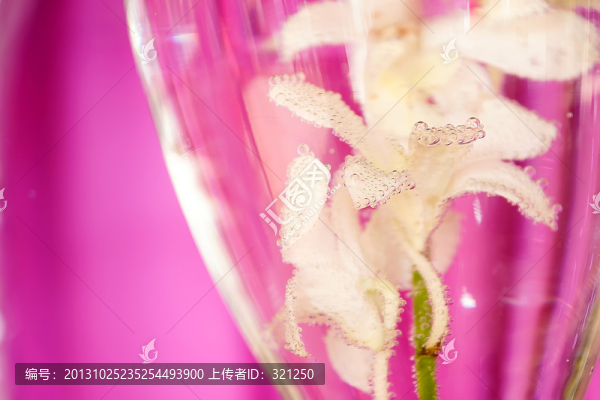 水杯里的花卉