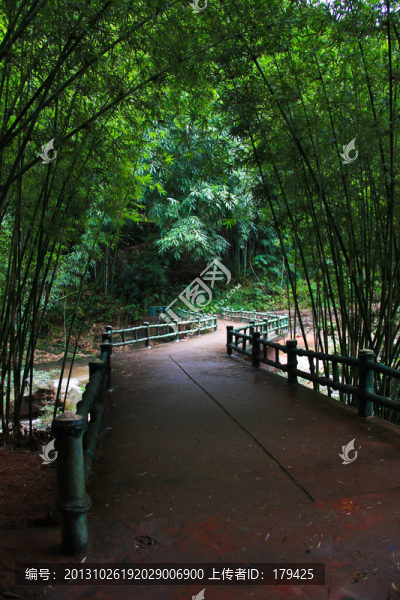 四洞溝林間小溪石橋