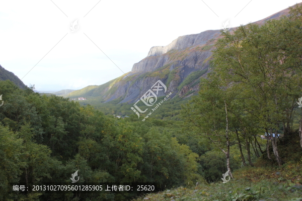 長(zhǎng)白山森林