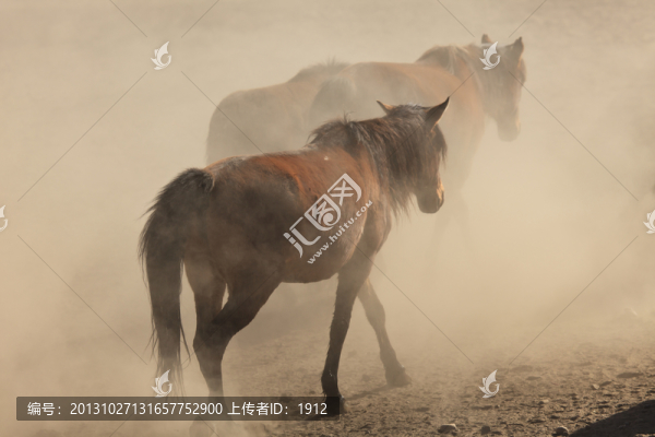 馬