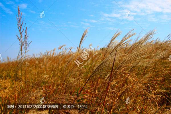 云頂風(fēng)光