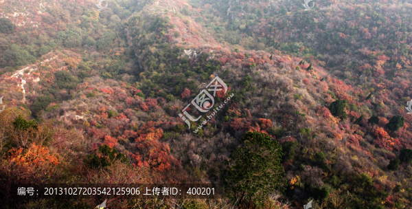 秋色染紅太行山