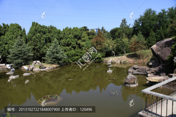 公園湖水