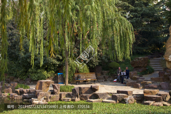 曲陽公園,園林,休閑場所,水面