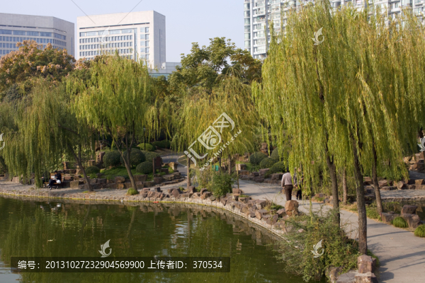 曲陽公園,園林,休閑場所,水面