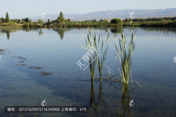 伊犁濕地