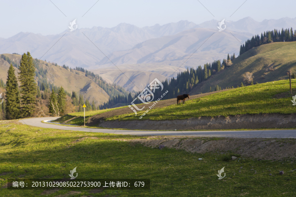盤山公路