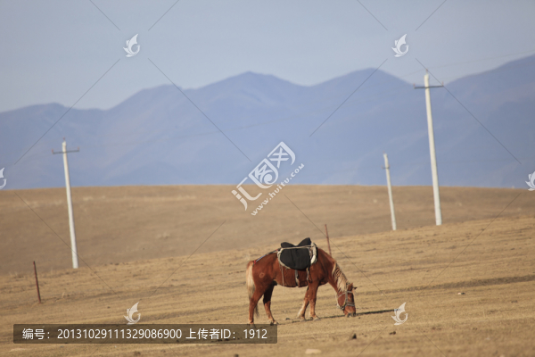 馬