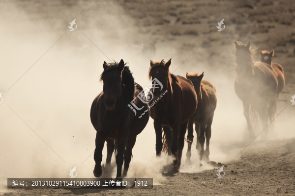 馬