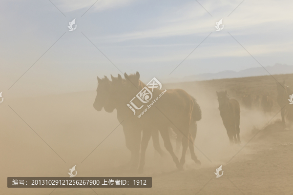 馬