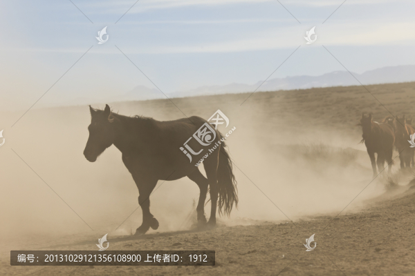 馬