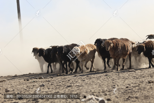 轉(zhuǎn)場