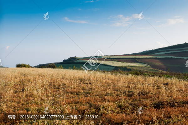 夕陽下的田野