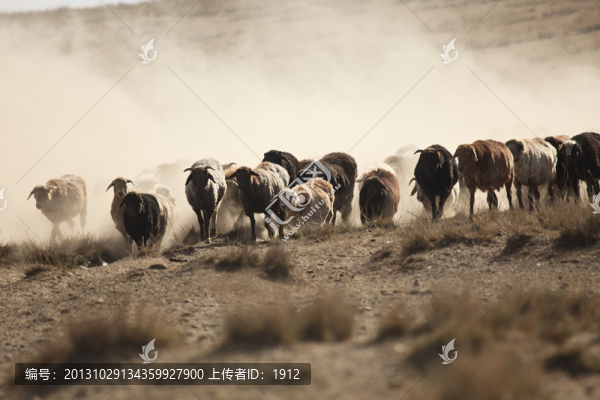 轉(zhuǎn)場