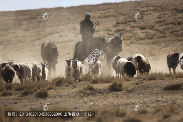轉(zhuǎn)場