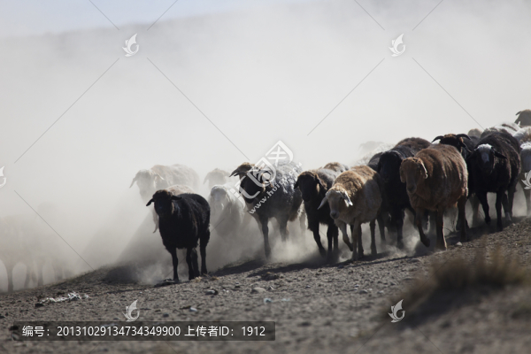 轉(zhuǎn)場