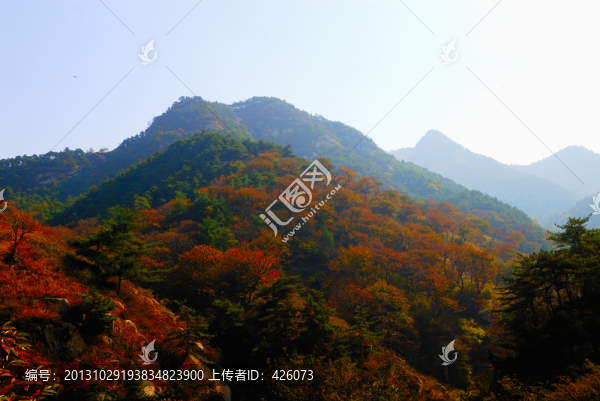 秋色盡染山林