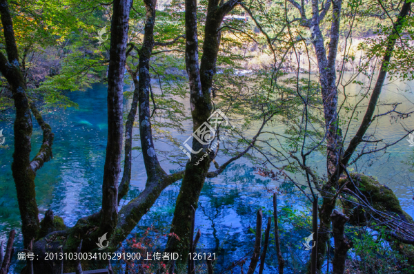九寨溝風(fēng)光