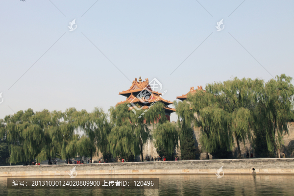 湖邊垂柳