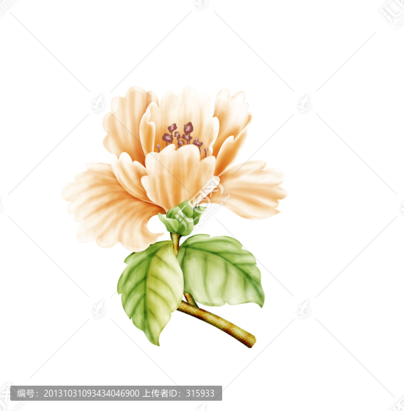 手繪花