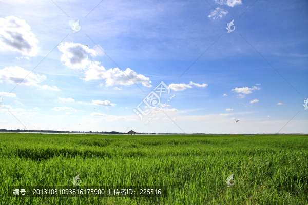 田園風(fēng)景