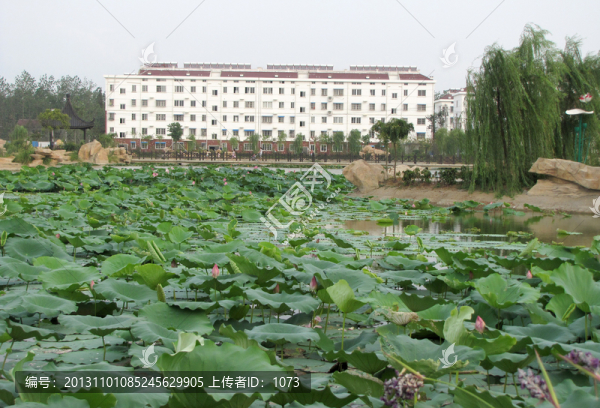 滁州南譙區(qū)姑塘新農(nóng)村景觀