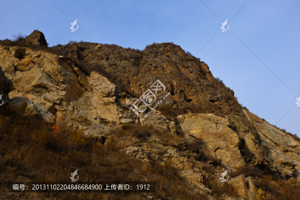 山野