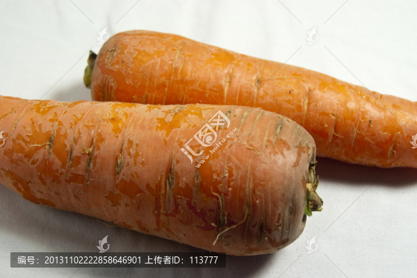蘿卜