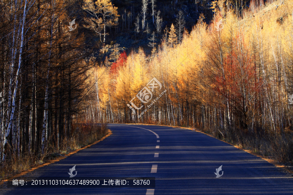秋林公路